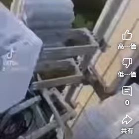 COVID19(コロナ)の原因　QNewsOfficialTV/109489の画像