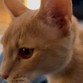 この記事の画像