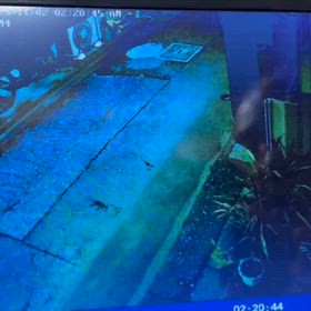 世間ではの画像