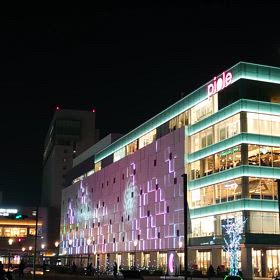 一年中 イルミネーション・2025年 1月 24日の画像