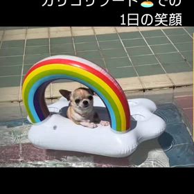 2024/08/10の画像