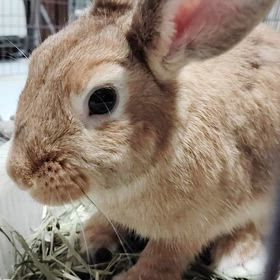 今日のえなちゃんの画像