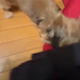 何がそんなに腹立つんだ?の画像