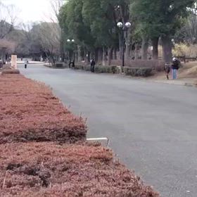 2/17 リレー選考会④の画像