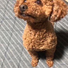 毎日きての画像