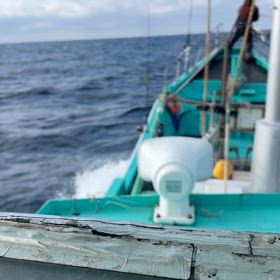 時化後❗️の画像