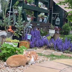 優しい子の画像