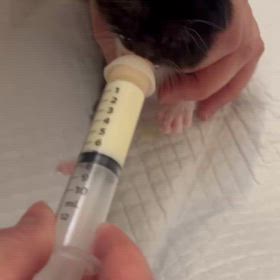 ミルクあげてみた♡の画像