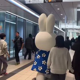 MIFFYとヒカリエの画像