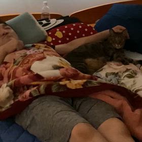 パパとスカイの画像