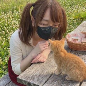 3月30日の猫動画は恐怖映像になってましたﾋｨｨｨｨｨの画像