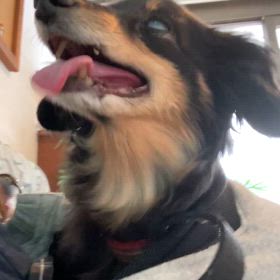 そら手術の画像