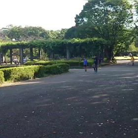 9/14 リレー選考会㉔の画像