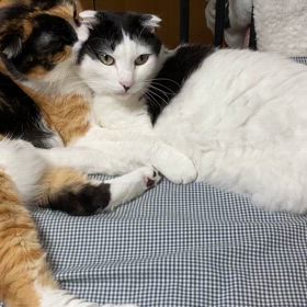 真夏の鍛錬の画像