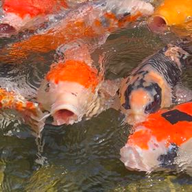 30日チャレンジ2日目　ありのままの画像