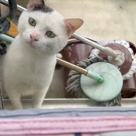 近い近いの画像