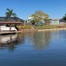 マナティの画像