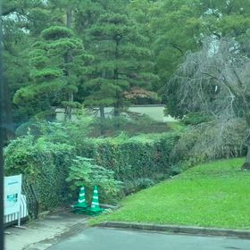 皇居参観の画像