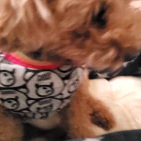 5月25日午前中の画像