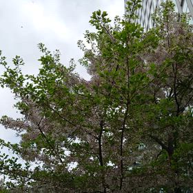 あーーーーごめんなさい……の画像