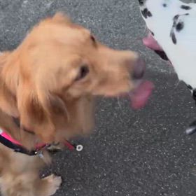 幸せとは。の画像