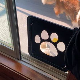 ワンコの便利アイテム、ベランダ網戸‼️の画像