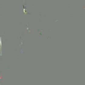 朝霧のショー。の画像