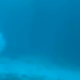 夏の思い出1の画像