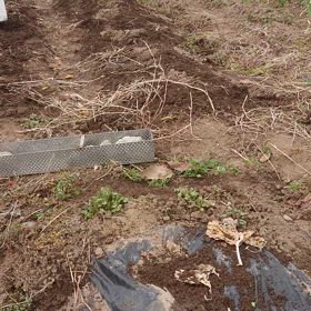 雨(雪？)が降る前にの画像