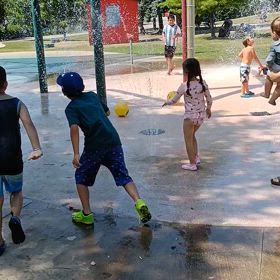 20250815 ブランプトンの画像