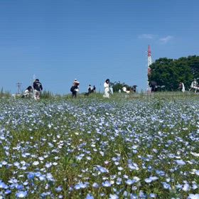 今週と来週の治療院。と癒しの画像