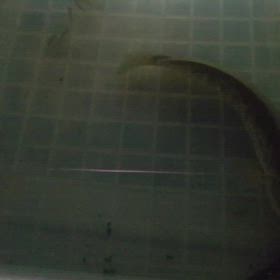 餌を大量ストックも...の画像