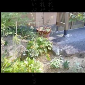 土日のイベント待機の占い師です。の画像