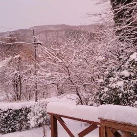 予感的中(￣▽￣)の画像