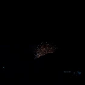 今年の花火の画像