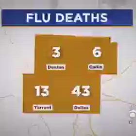 タミフル　The_Storm_Q17/6209の画像