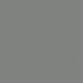 アオゲラ再びの画像