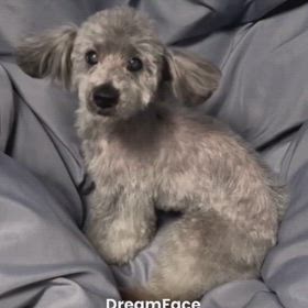 検診でしたの画像