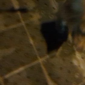 今日のトレーニング。の画像