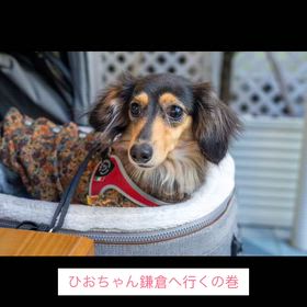 社会見学の画像