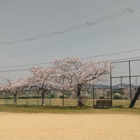 良い感じの現場です️☺️の画像