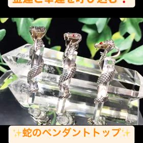 まるでコブラ！？なペンダントトップの画像
