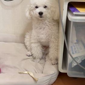 ニコの凹み顔（爆笑）動画の画像