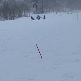 PCR。5年連続。陽性。の画像