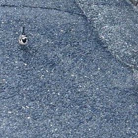 可愛い小鳥ちゃんの画像