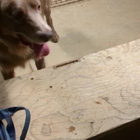 回復‼️の画像