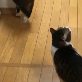 もう…行きたくないって思うけど。の画像