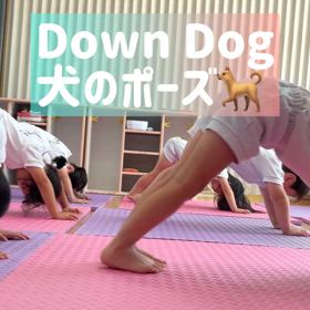 Down Dog の練習の画像