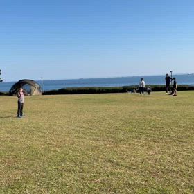 浦安市総合公園の画像