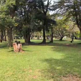 9/27 400mインターバル⑨の画像